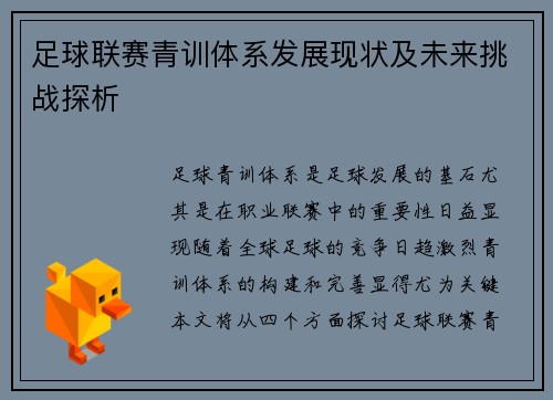 足球联赛青训体系发展现状及未来挑战探析